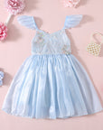 Princess Party Dress