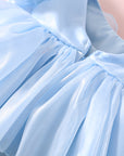 Puff Sleeve Party Dress