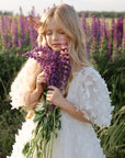 Alara Butterfly Dress