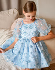Snow Princess Dress