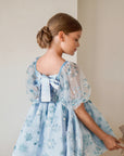 Snow Princess Dress
