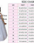 Fairy Dust Dress - Made to order