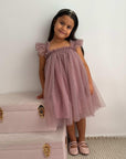 Swiss Dot Tutu Dress - Mauve