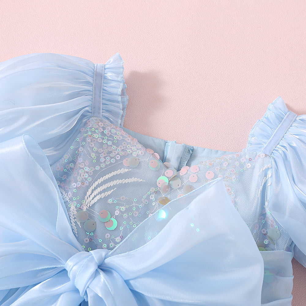 Princess Puff Sleeve Party Dress