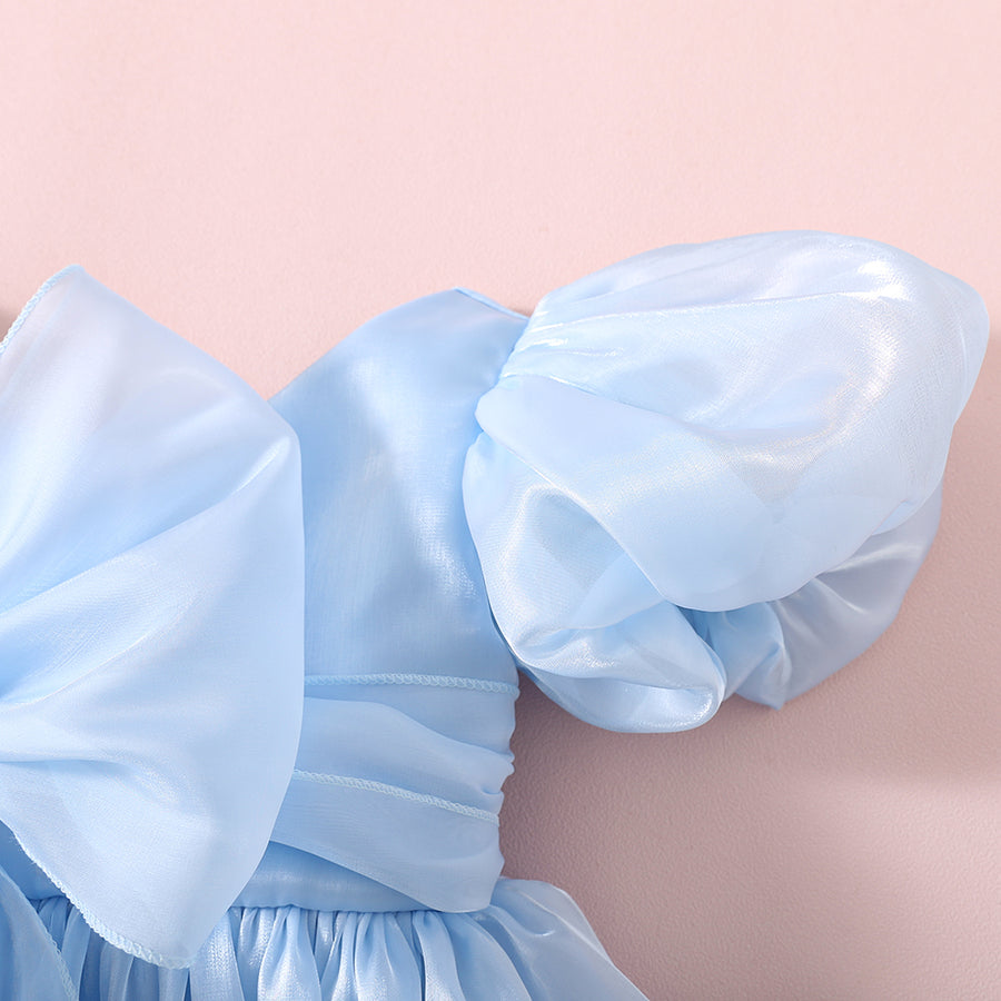 Puff Sleeve Party Dress