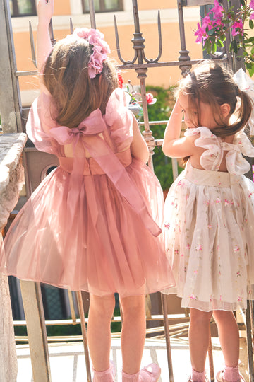 Princess Rose Dress