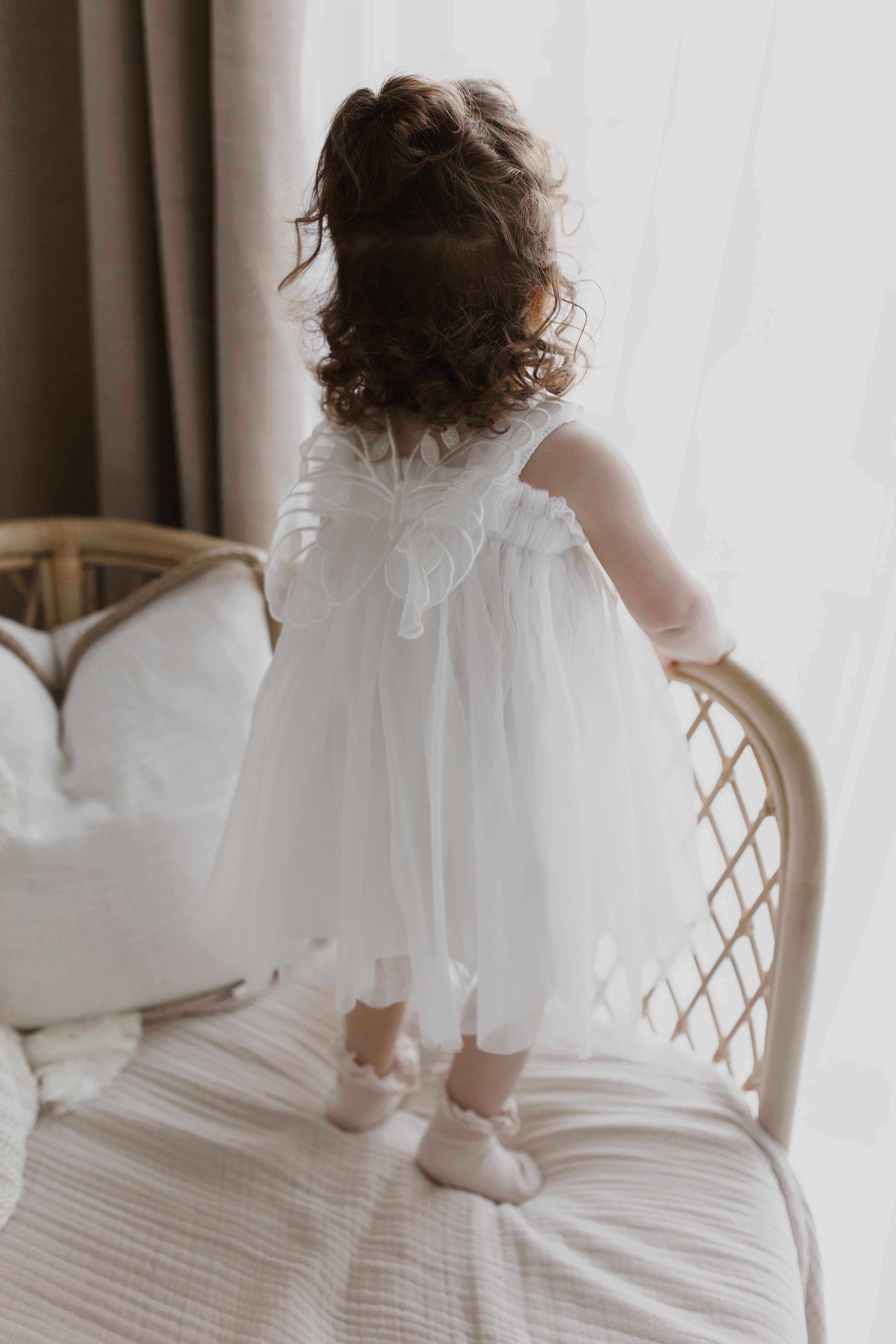 Fairy Wings Dress
