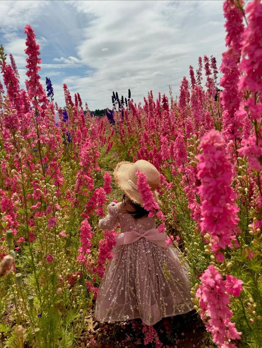 Lola Knee Length Luxe Dress - Lilac (Made to order) MK002