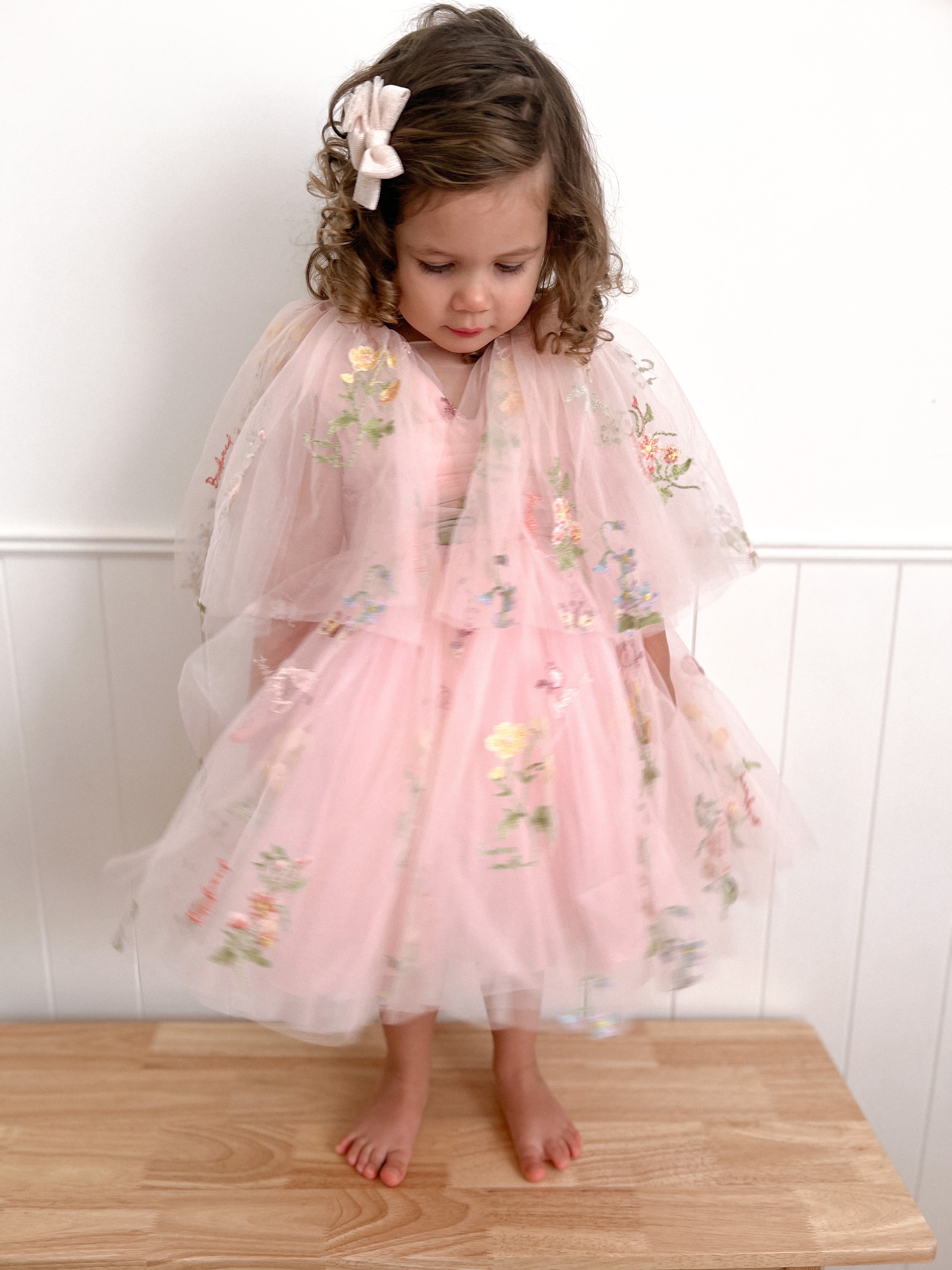Fairy Dust Dress - Made to order