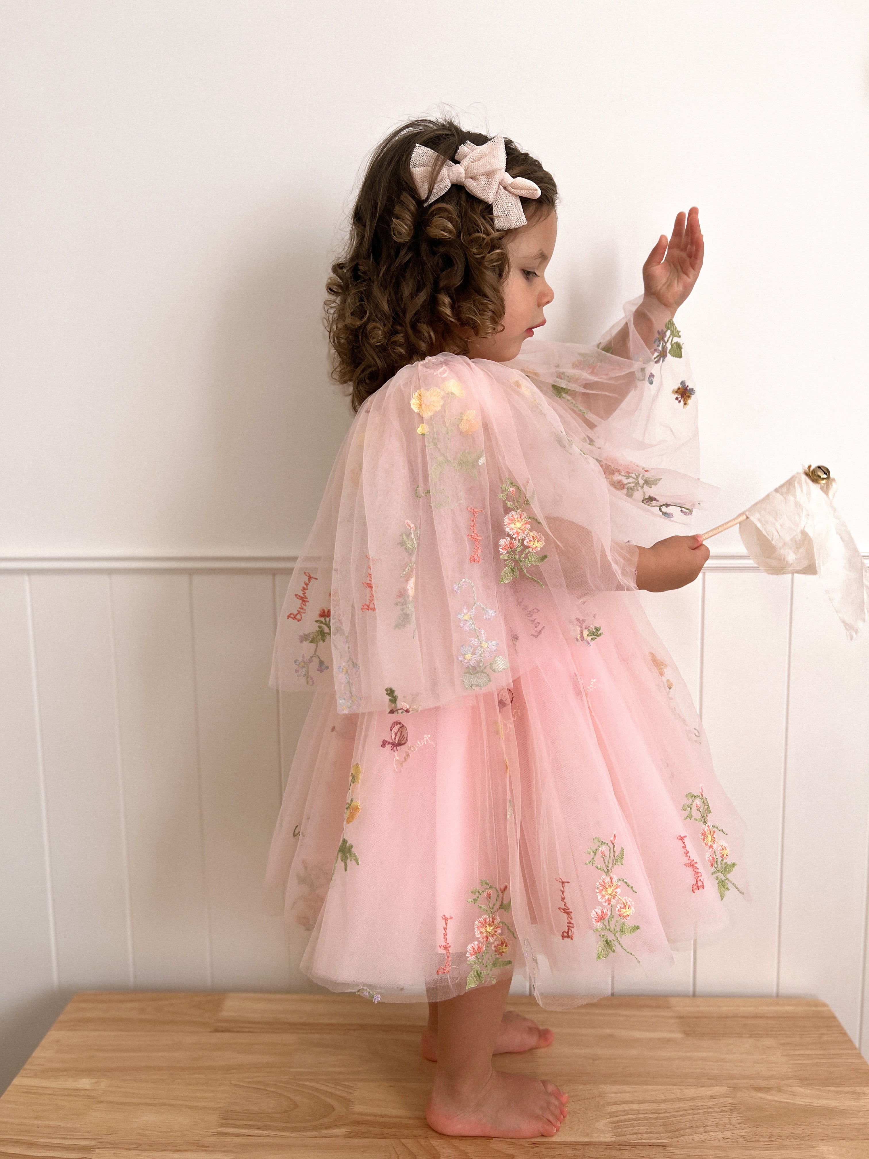 Fairy Dust Dress - Made to order