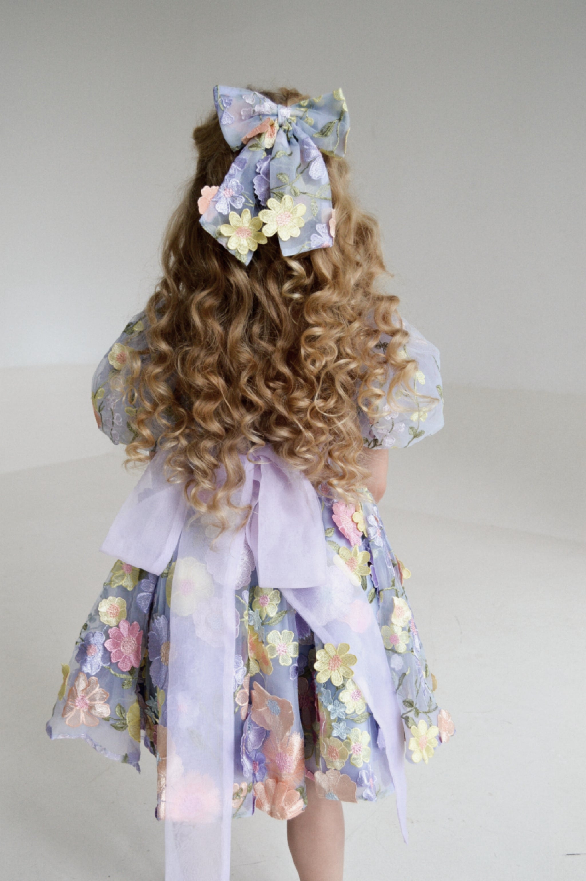 Mirabel Lace Embroidered Pearl Belted Dress