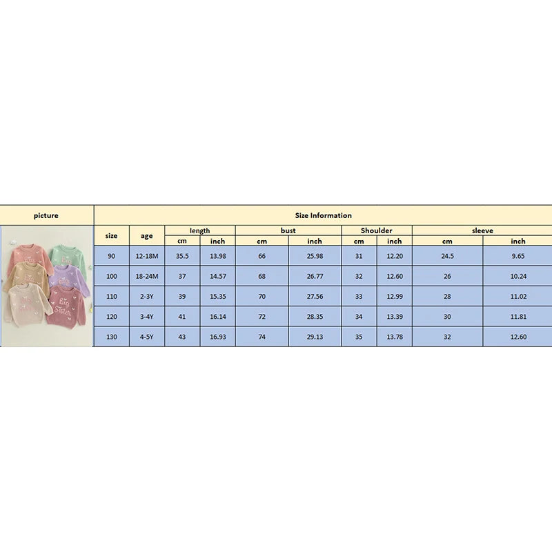 Big Sister Announcement Knit Top