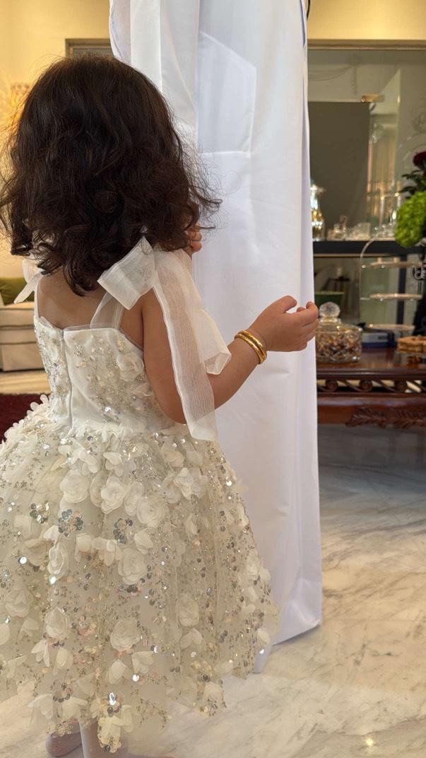 Sparkle Luxe Dress
