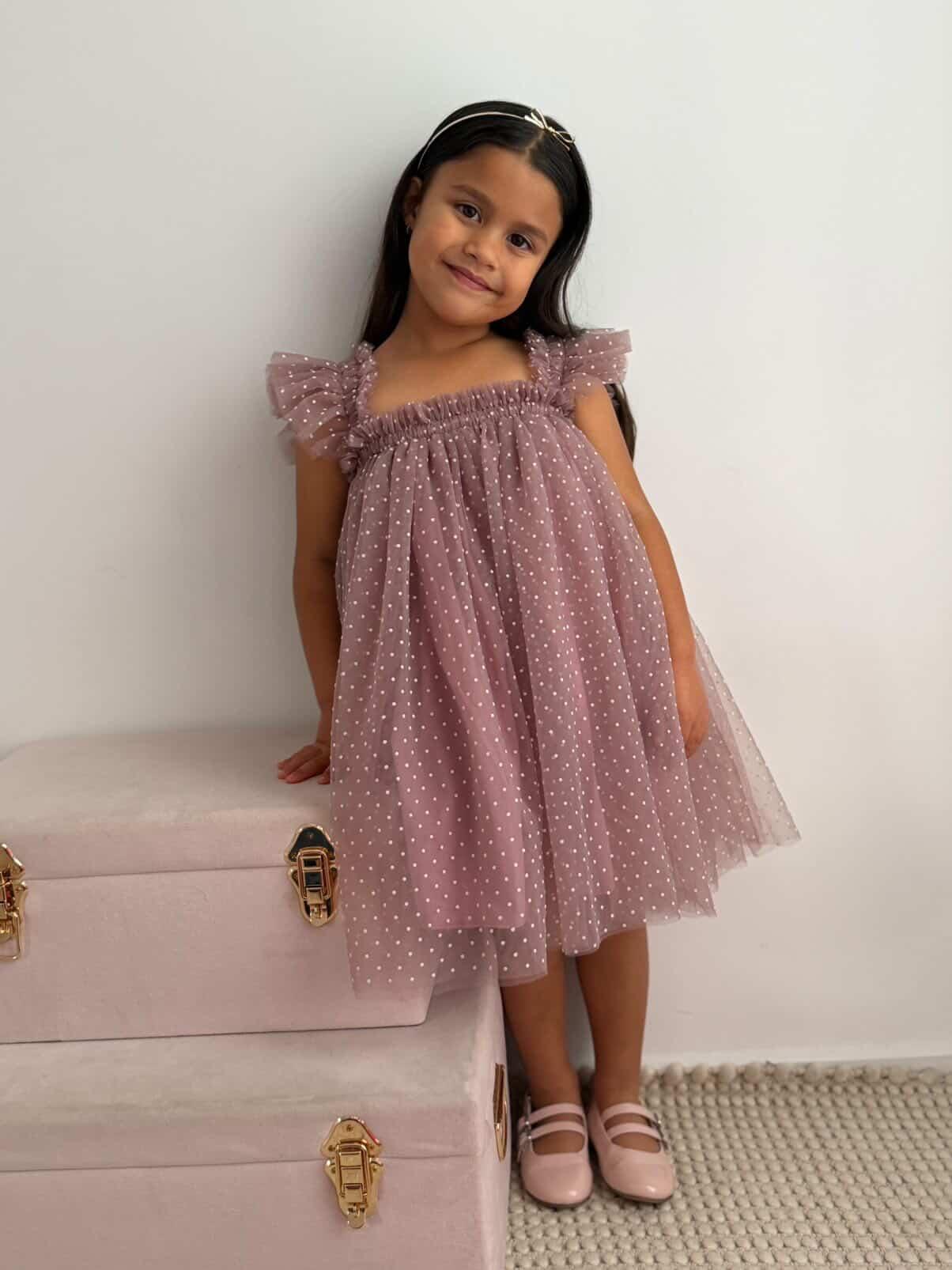 Swiss Dot Tutu Dress - Mauve