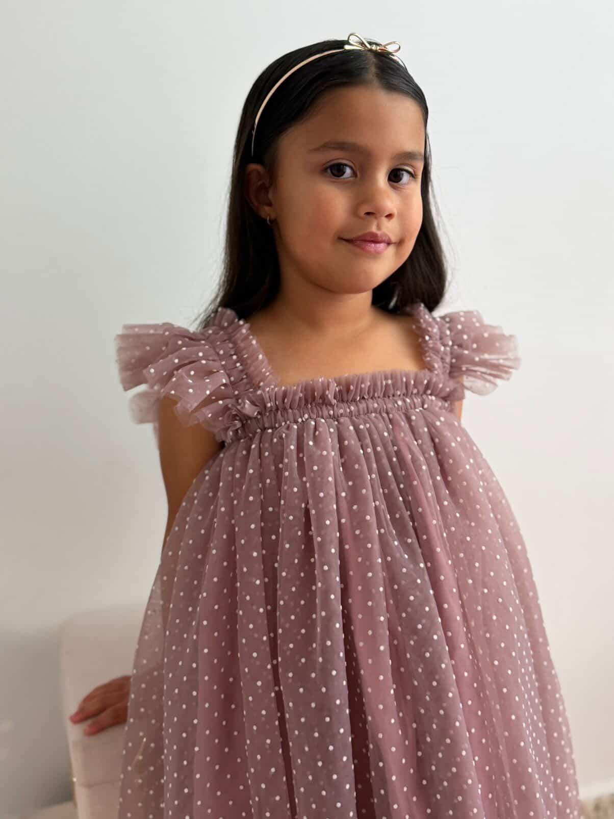 Swiss Dot Tutu Dress - Mauve