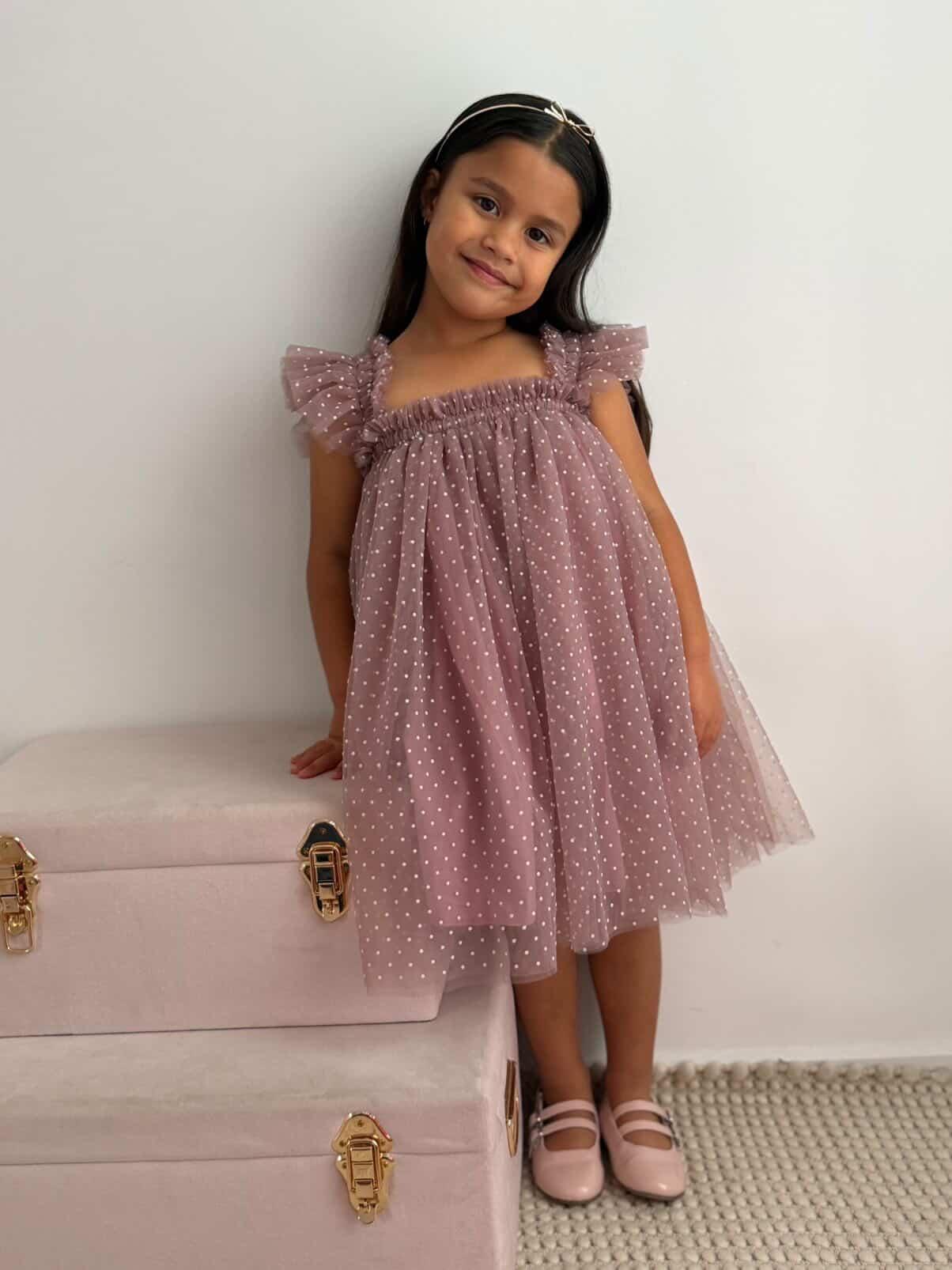 Swiss Dot Tutu Dress - Mauve