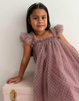 Swiss Dot Tutu Dress - Mauve