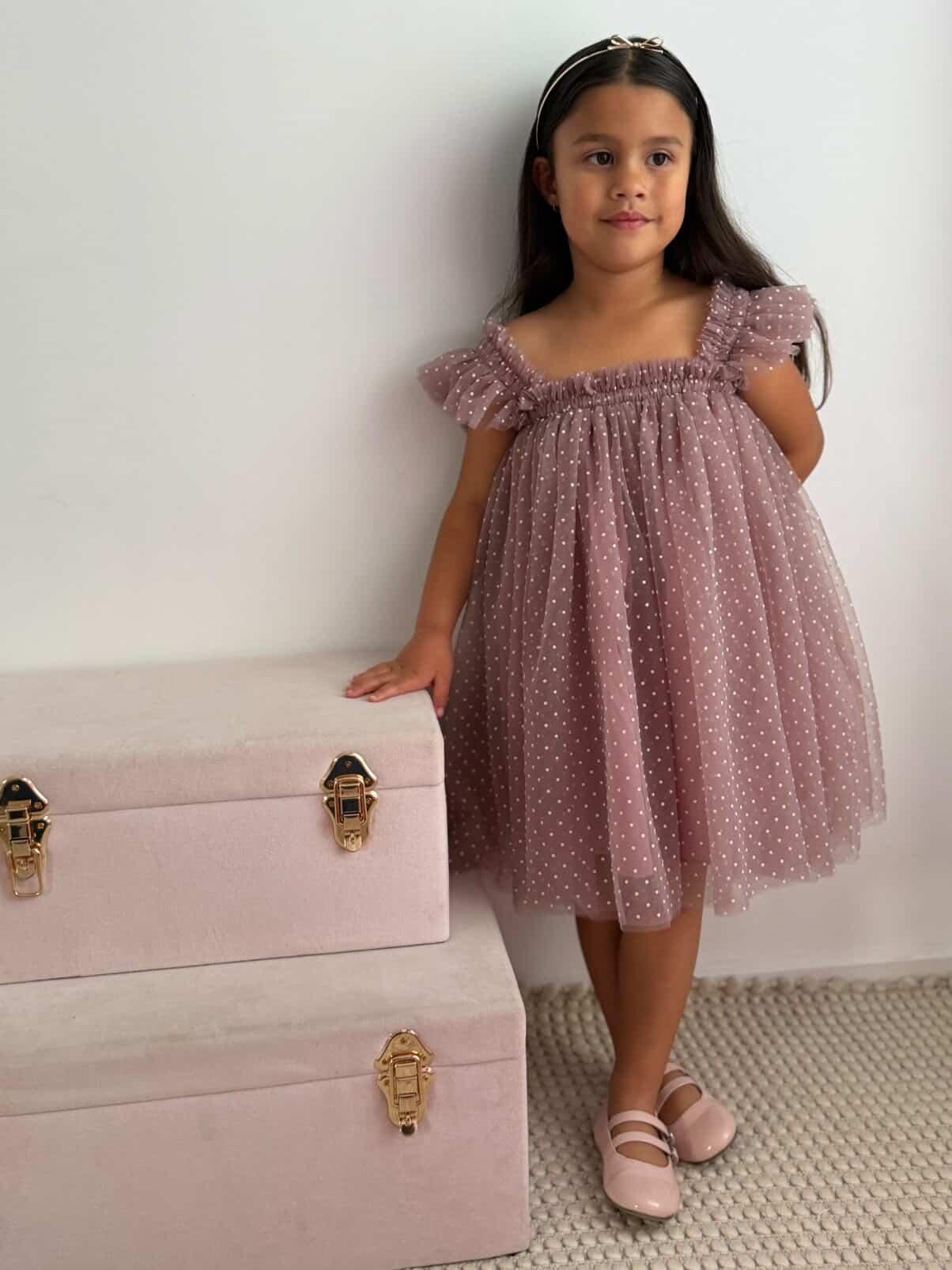 Swiss Dot Tutu Dress - Mauve