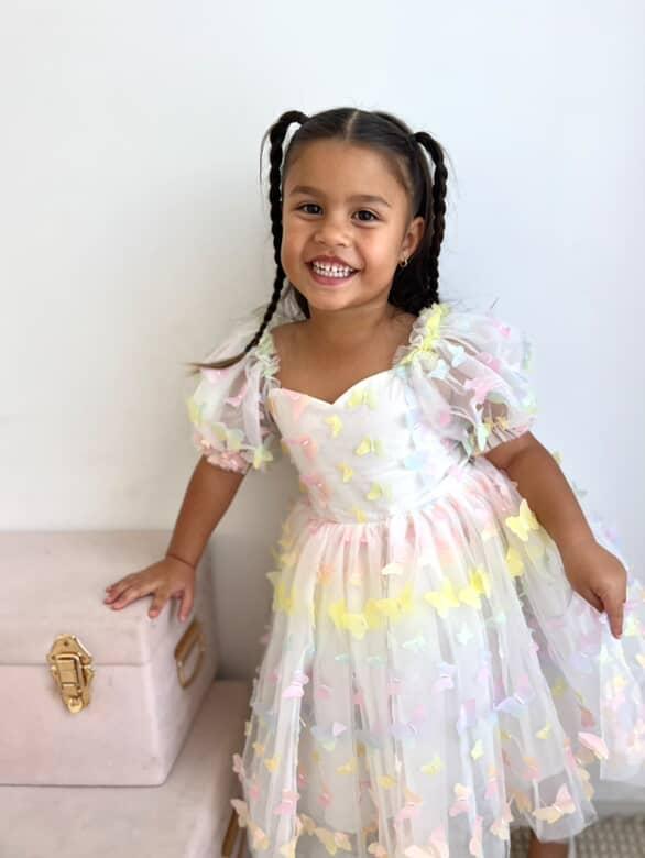 Fairy Floss Butterfly Puff Sleeve Dress 🩷