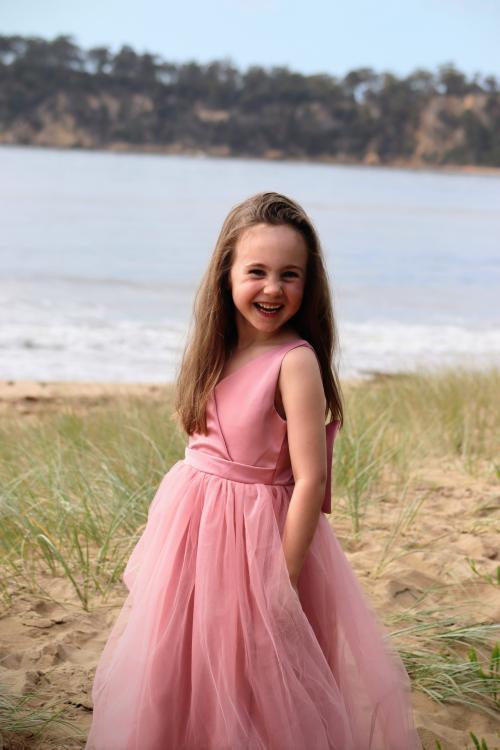 Stella Dress - Pink
