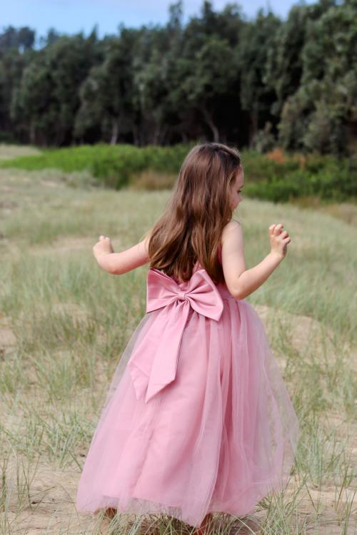 Stella Dress - Pink