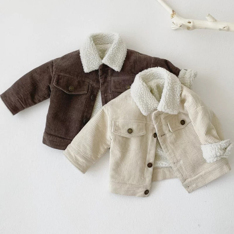 Cordjacke - Beige / Braun