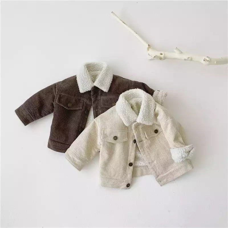 Cordjacke - Beige / Braun