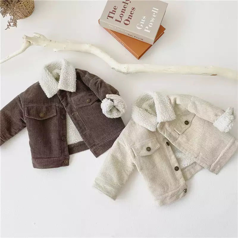 Cordjacke - Beige / Braun